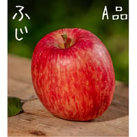 はとらず　ふじ　A品（良・普通品)／11月中旬発送