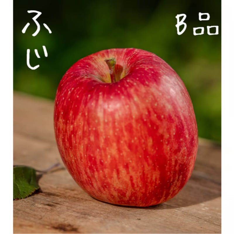 はとらず ふじB品(家庭用品)／11月中旬発送 | 福一農園