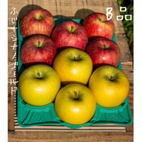 はとらず　ふじ＋シナノゴールド　B品(家庭用品)／11月中旬発送