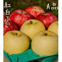 はとらず　紅白ふじA品(良・普通品)／11月中旬発送