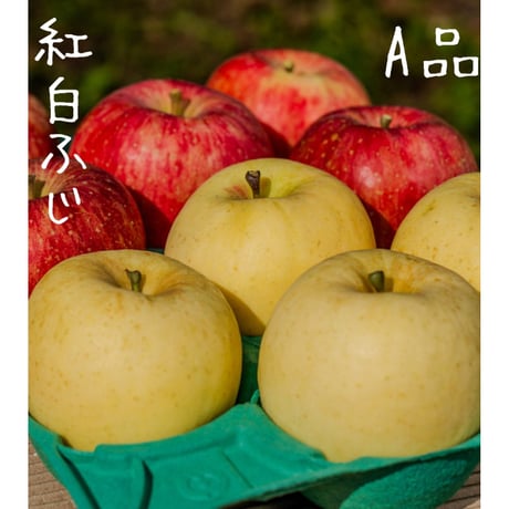 はとらず　紅白ふじA品(良・普通品)／11月中旬発送