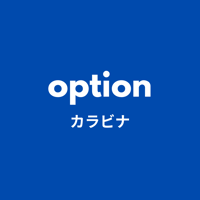 【option 】カラビナ