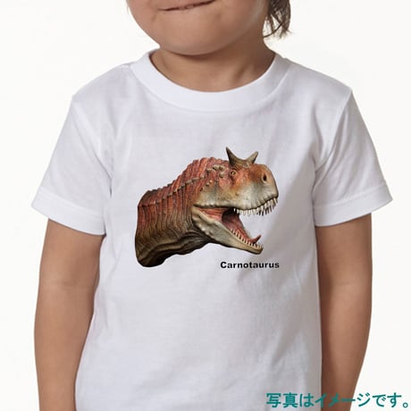 【加藤愛一】恐竜アート白Tシャツ カルノタウルス