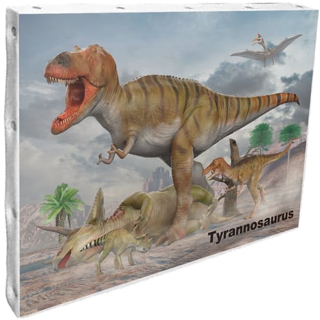 CATEGORY インテリア雑貨 | GCC GOODS SHOP