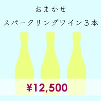 ＜偶数月＞隔月おまかせ3本ナチュラルスパークリングワイン