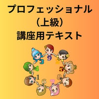 プロフェッショナル（上級）