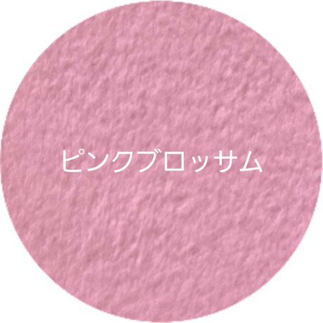 エルメス ボリード31バッグインバッグ≪カラーセレクション≫