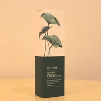CEFINE ハーバリー　シカクリーム
