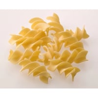 ファッブリカ　フジッローニ　 500g