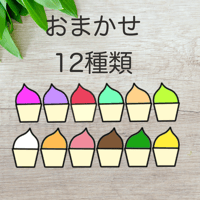 おまかせ12種セット
