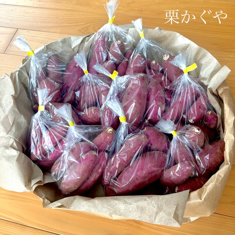 栗かぐや(5kg)⭐︎小さめサイズ【11月20日御注文受付終了】 | 平賀農園