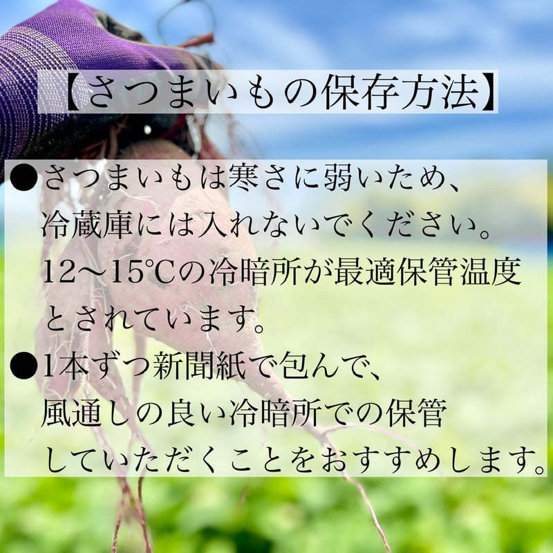 栗かぐや(5kg)⭐︎小さめサイズ【11月20日御注文受付終了】 | 平賀農園