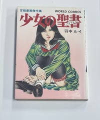 D.ヘブディジ 著 山口淑子 訳『サブカルチャー スタイルの意味するもの