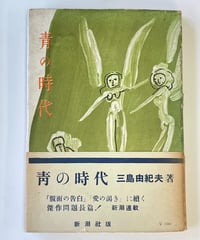 サブカルチャー　スタイルの意味するもの Amazon.co.jp: サブカルチャー: スタイルの意味するもの