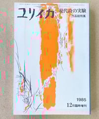 D.ヘブディジ 著 山口淑子 訳『サブカルチャー スタイルの意味するもの
