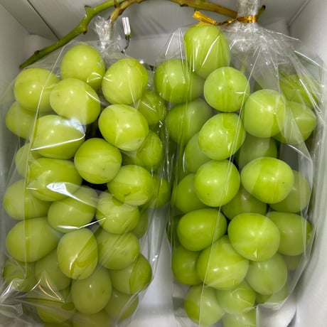 CATEGORY 果物 | 晟州園