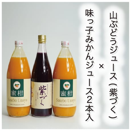 てっちゃん　山葡萄ストレート１００%ジュース　５００ml２本セット 山ぶどうジュース | STORES