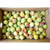 【旬を漬けよう!!】和歌山みなべ産南高梅(Lサイズ約5.0kg×2箱=約10.0kg)