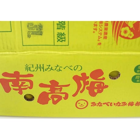 【旬を漬けよう!!】和歌山みなべ産南高梅(3Lサイズ約5.0kg)