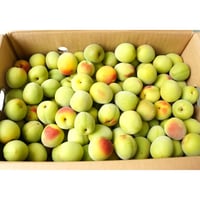 【旬を漬けよう!!】和歌山みなべ産南高梅(2Lサイズ約5.0kg×2箱=約10.0kg)