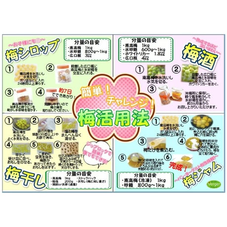【旬を漬けよう!!】和歌山みなべ産南高梅(3Lサイズ約5.0kg)