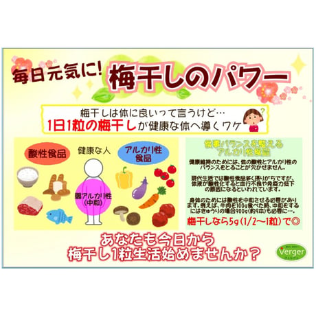 【旬を漬けよう!!】和歌山みなべ産南高梅(3Lサイズ約5.0kg)