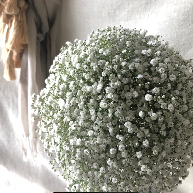 ウェディングブーケ**生花のかすみ草ラウンドブーケLサイズ ウェディングブーケ**生花のかすみ草ラウンドブーケLサイズ
