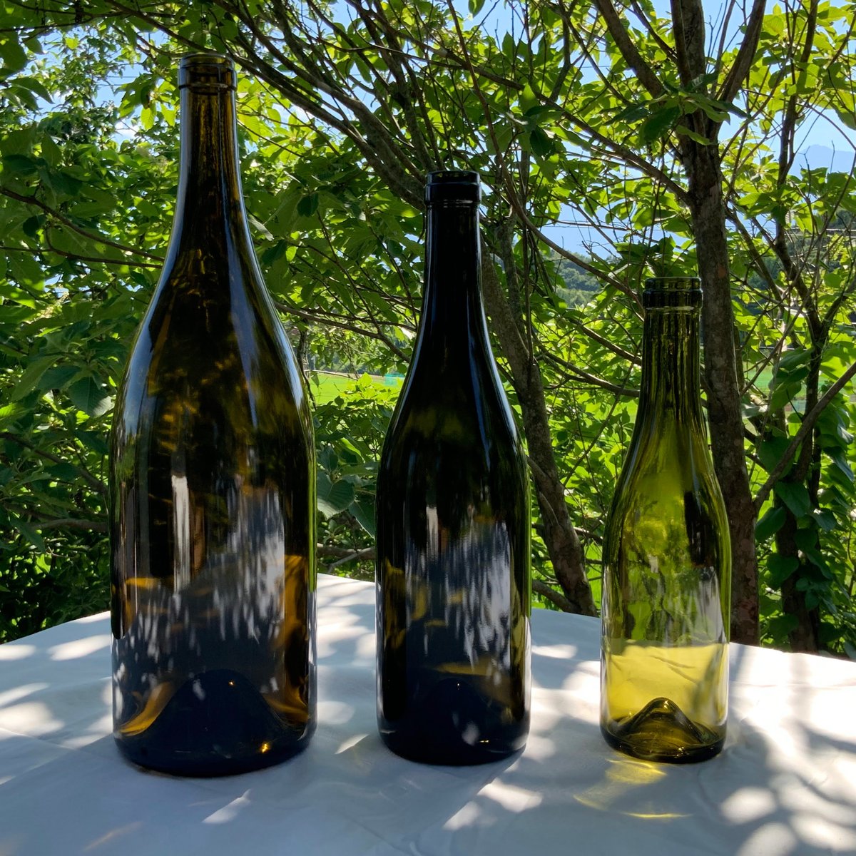 ガラス瓶 ブルゴーニュ型ワインボトル Pinot Noir Blend 2024ラベル