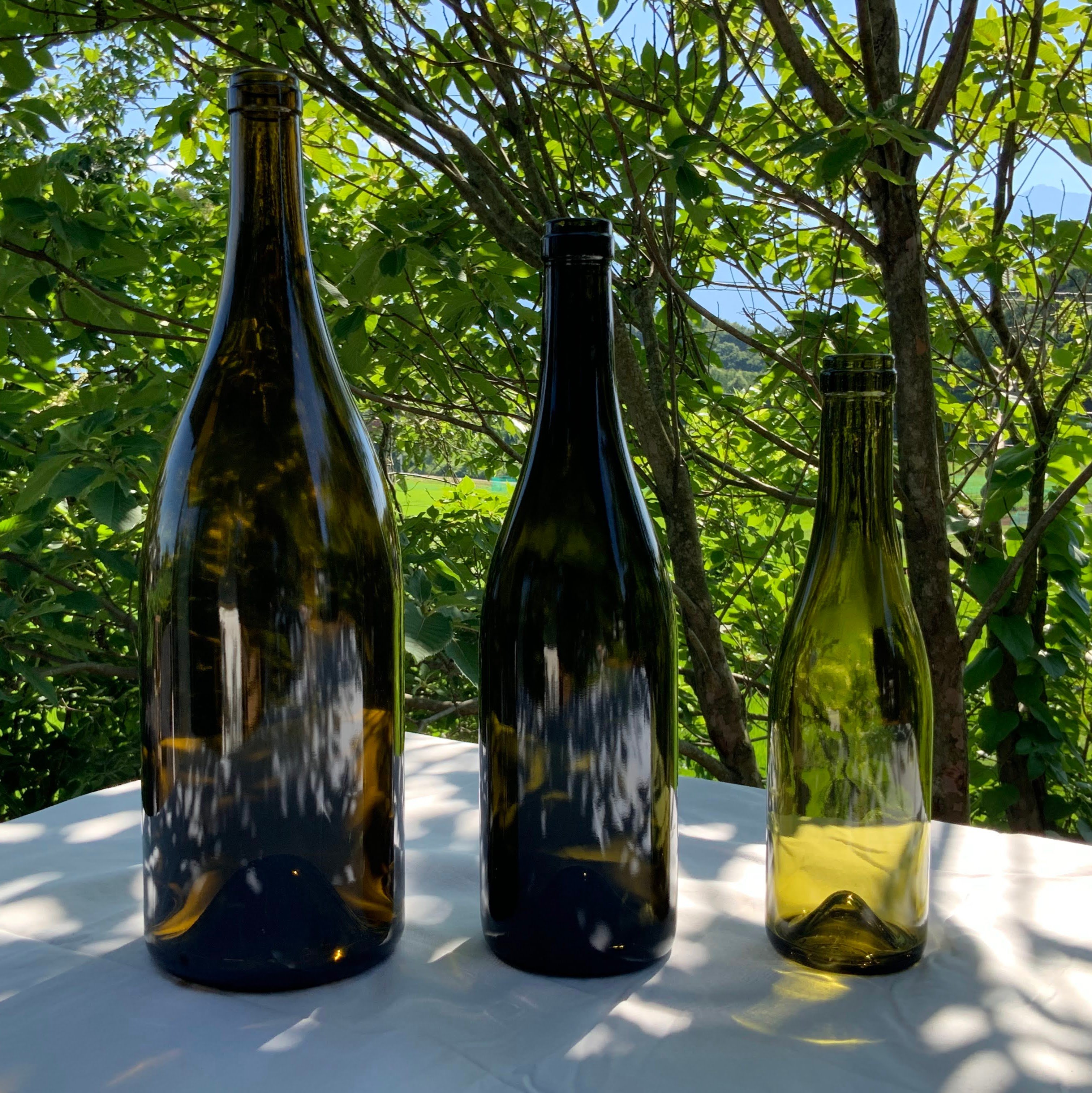 ブルゴーニュワインの空瓶 ガラス瓶 ブルゴーニュ型ワインボトル Pinot Noir Blend 2024ラベル