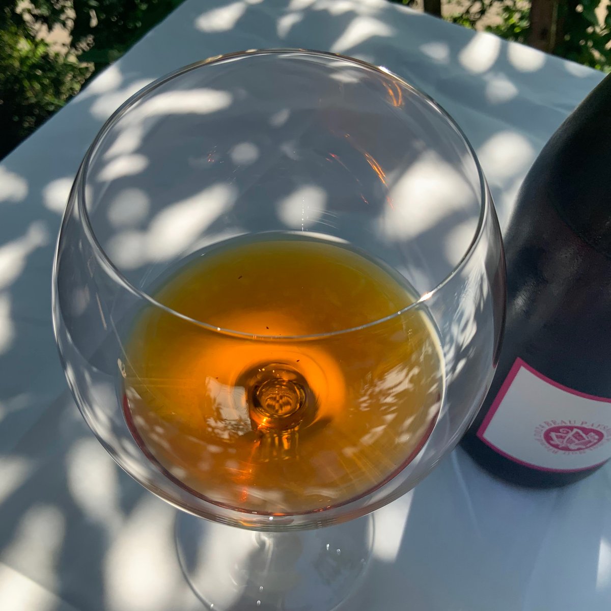 Pinot Noir blend 2024 | BEAUPAYSAGE Pinot Noir blend 2024 | BEAUPAYSAGE
