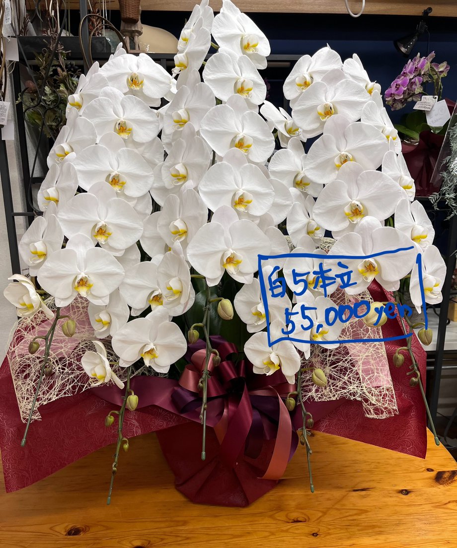 66fd31cbb4efa207f12f63ab