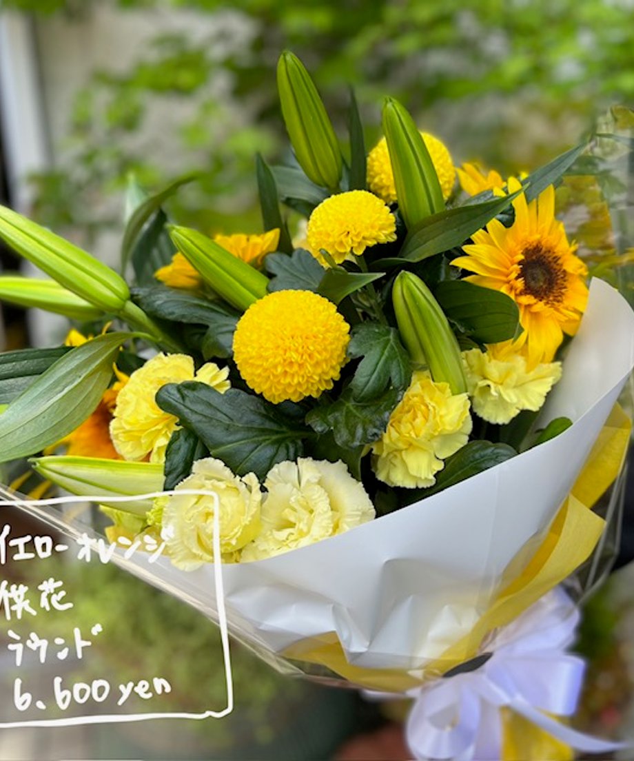 670a2eaf5db914535d61fe2a
