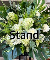 スタンド1段