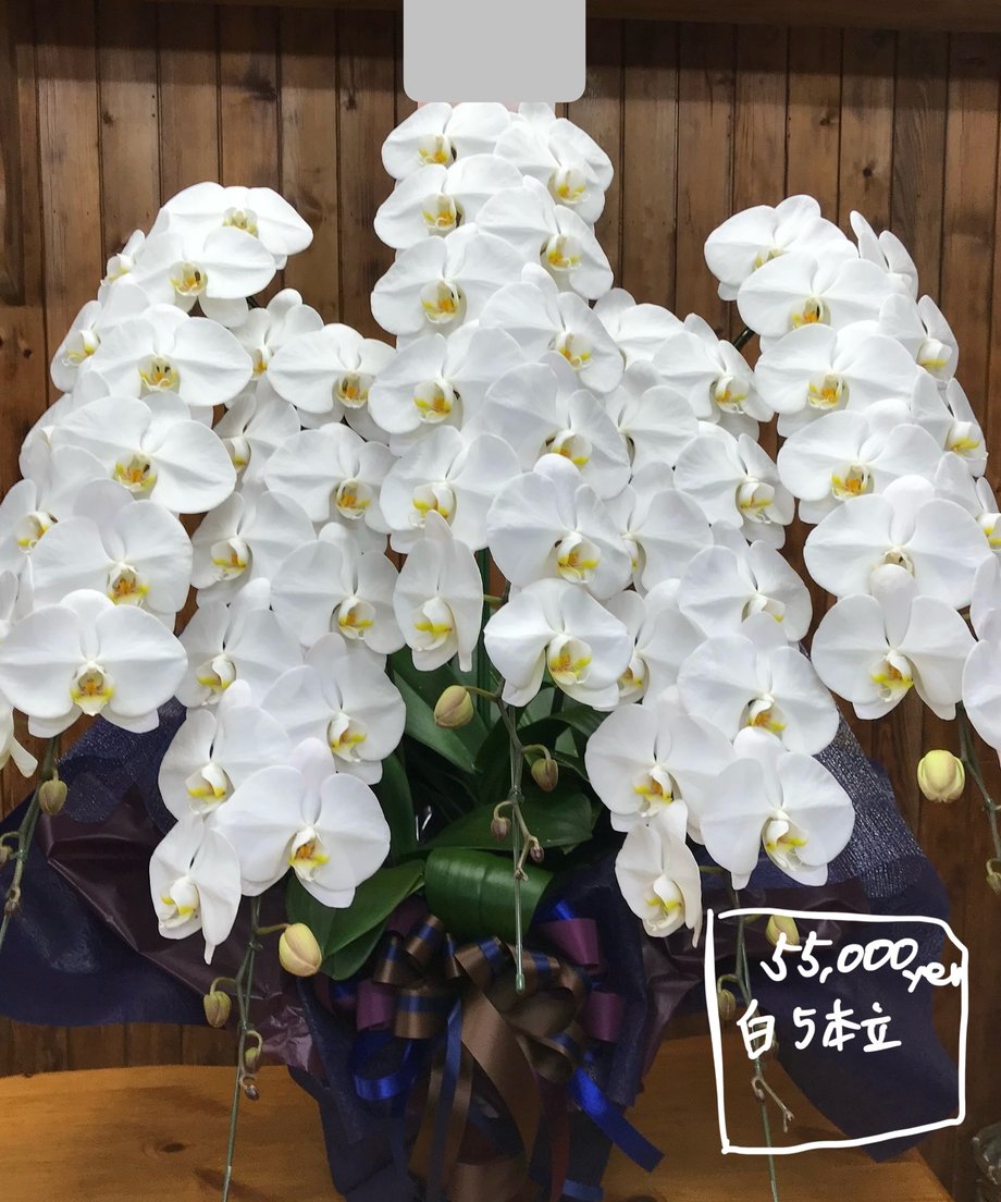 66fd31cbb4efa207f12f63ab