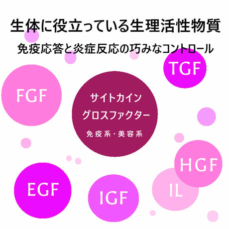 【無添加サプリ】生プラセンタサプリメント「アンケシ」１袋６０粒入