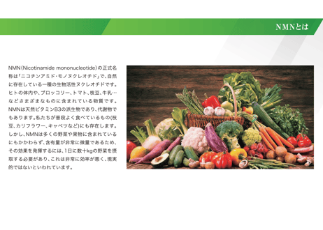 Age Premium Care NMN12000　国内初インフォームド認証取得・NMN機能性食品開発協会の推奨(ドクターサプリメント) 60カプセル入り/1カプセル NMN200mg配合