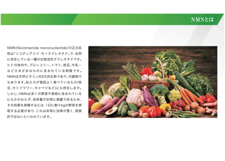 【定期購入】Age Premium Care NMN12000　国内初インフォームド認証取得・NMN機能性食品開発協会の推奨(ドクターサプリメント) 60カプセル入り/1カプセル NMN200mg配合