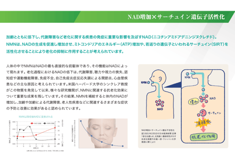 Age Premium Care NMN12000　国内初インフォームド認証取得・NMN機能性食品開発協会の推奨(ドクターサプリメント) 60カプセル入り/1カプセル NMN200mg配合