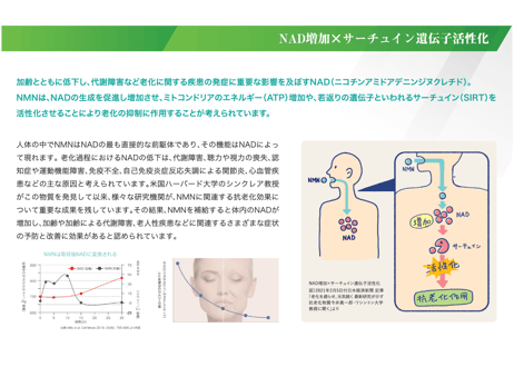 【定期購入】Age Premium Care NMN12000　国内初インフォームド認証取得・NMN機能性食品開発協会の推奨(ドクターサプリメント) 60カプセル入り/1カプセル NMN200mg配合