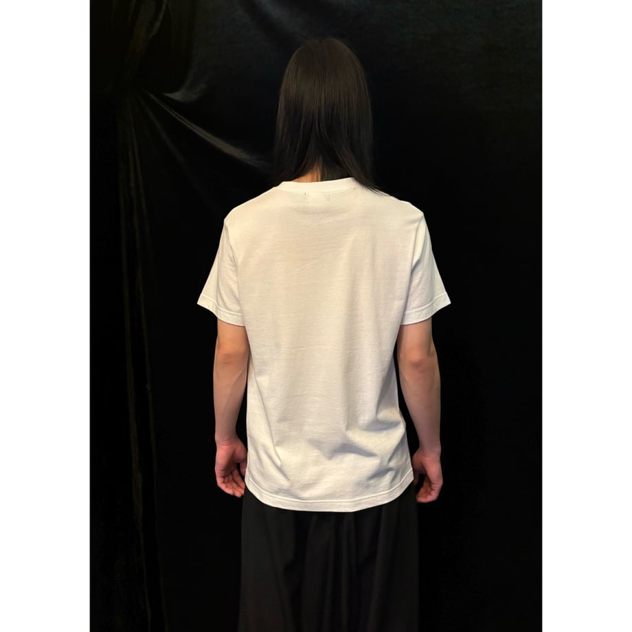 6739b03356efca3ddbfe0ab5