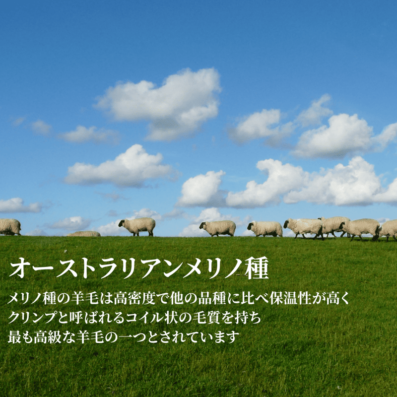 ムートンシーツ シルキー チャーム シングル（100×200cm） | Zzz's online