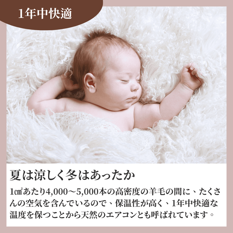 ムートンシーツ シルキー チャーム シングル（100×200cm） | Zzz's online