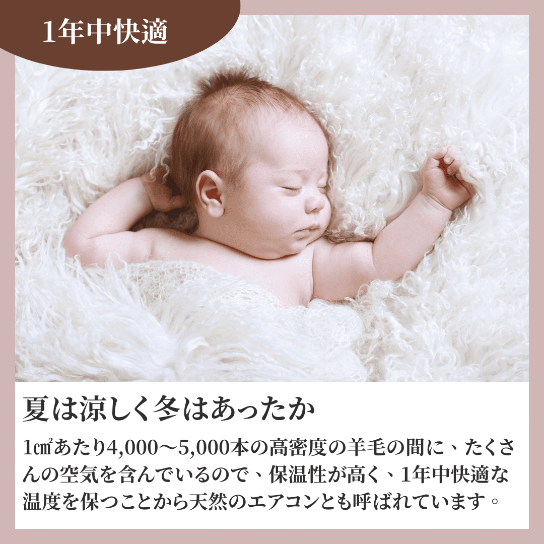 ムートンシーツ シルキー チャーム シングル（100×200cm） | Zzz's online