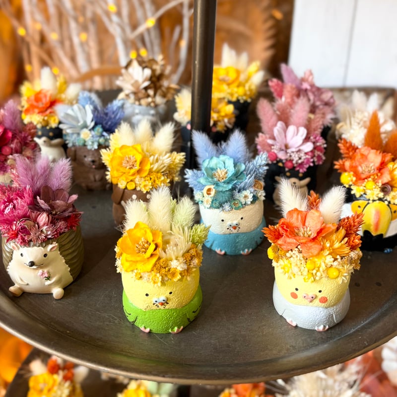 アニマルフラワー(ハリネズミ) | colzaflower