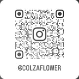 colzaflower