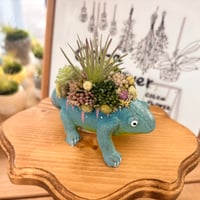 カメレオン(フェイクグリーン)