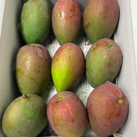 Chinen Mango Farm
