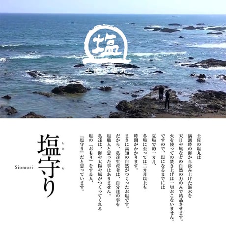 塩干し芋お試し2パック【送料無料】