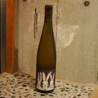 PETITE NATURE - Paysages 2023 / プティ・ナチュレ - ペイサー