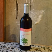 Case Corini - Centin 2019 / カーゼ・コリーニ - チェンティン |